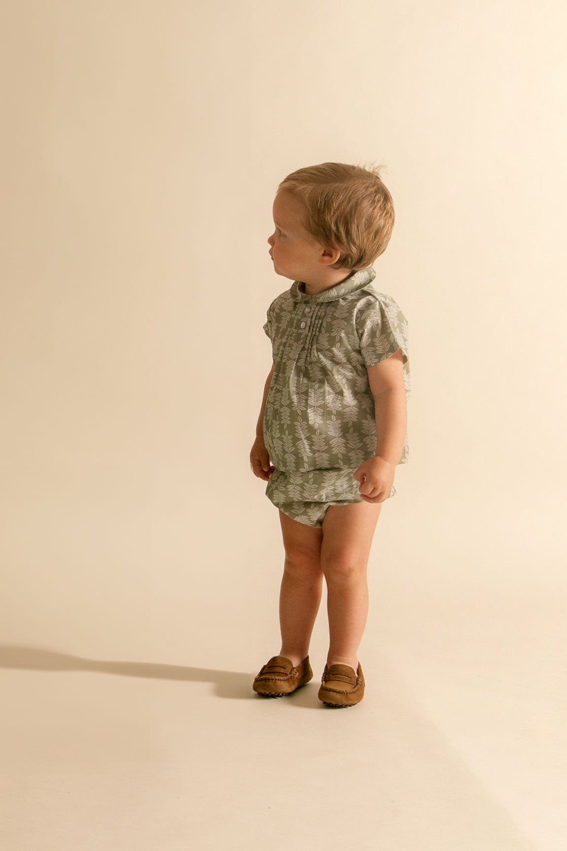 Conjunto Santi helechos